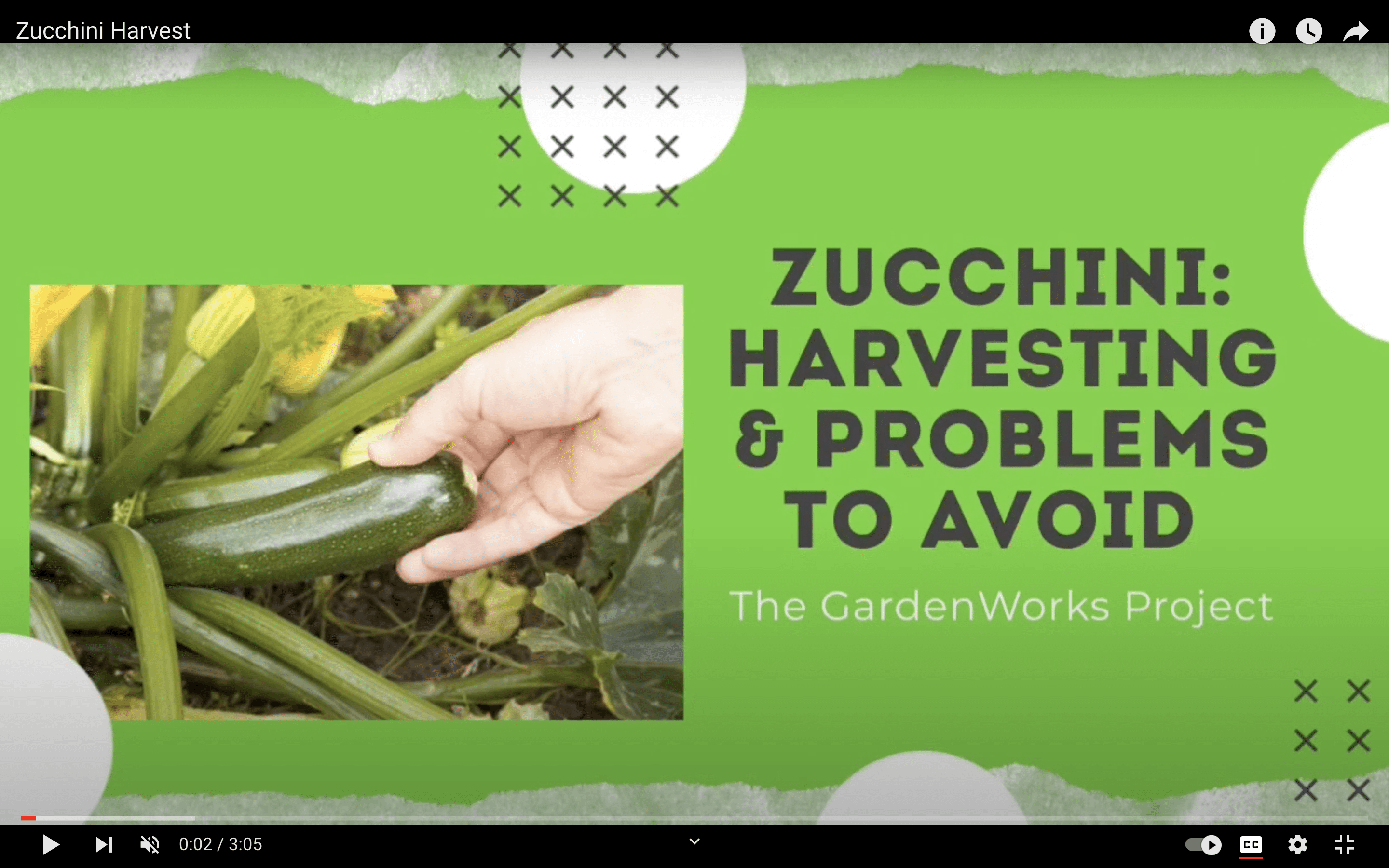 Zucchini Harvest