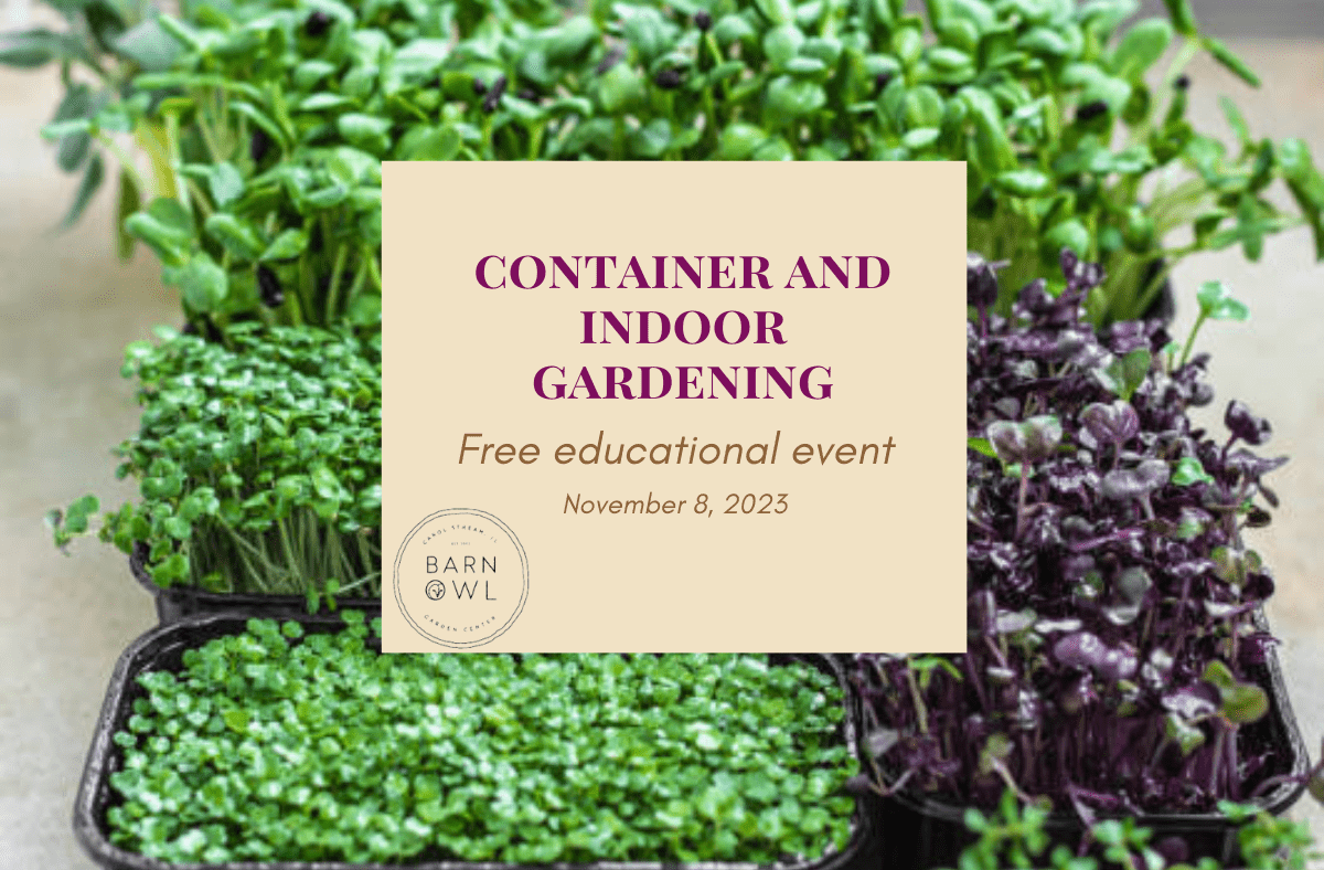 Free Educational Workshop: Container & Indoor Gardening