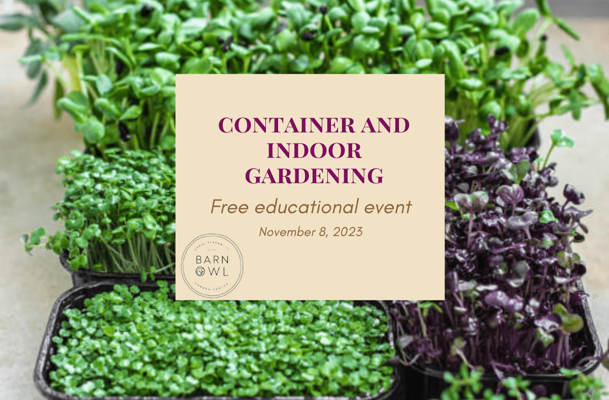 Free Workshop: Container & Indoor Food Growing