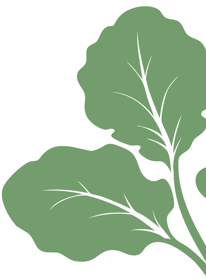Leaves 2