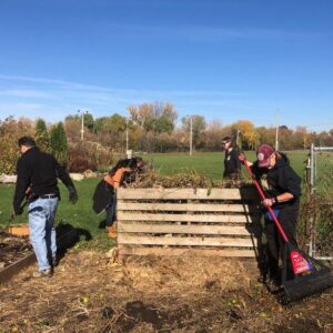 A Beguinners guide to composting banner
