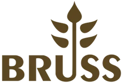 Bruss logo