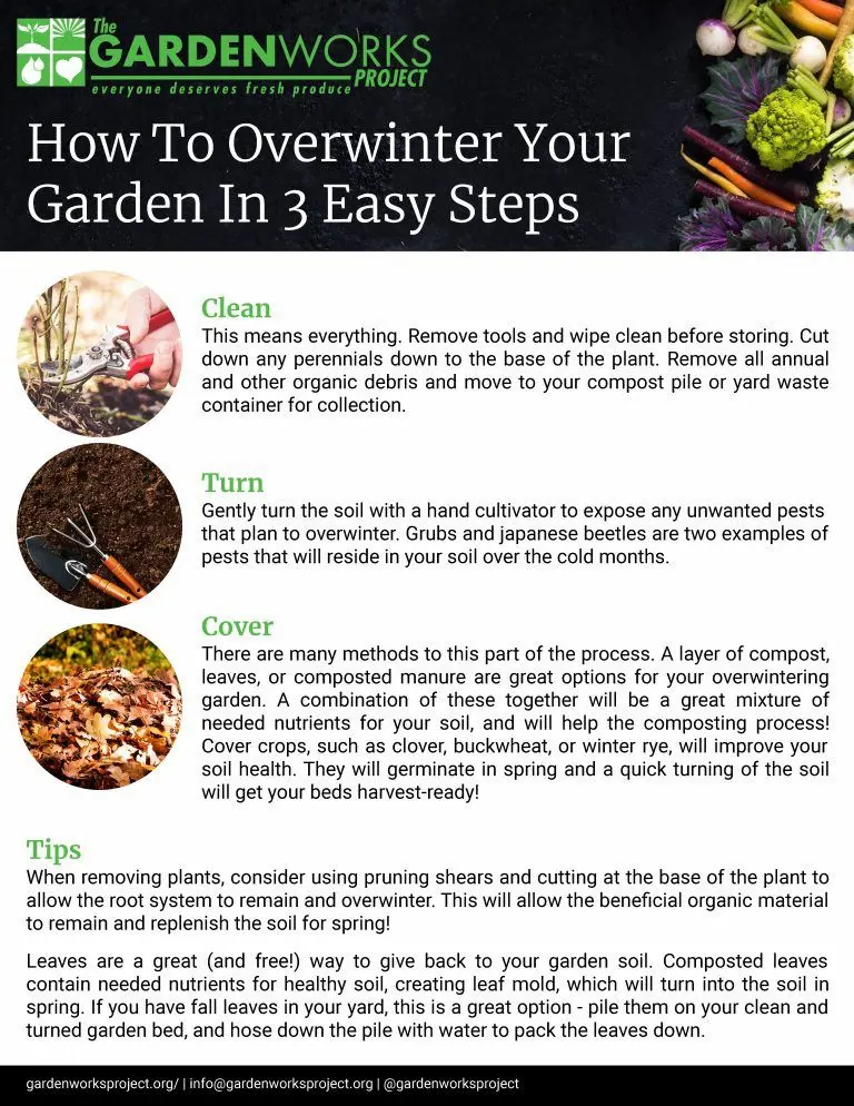 How to overwinter your garden in 3 easy steps pdf image
