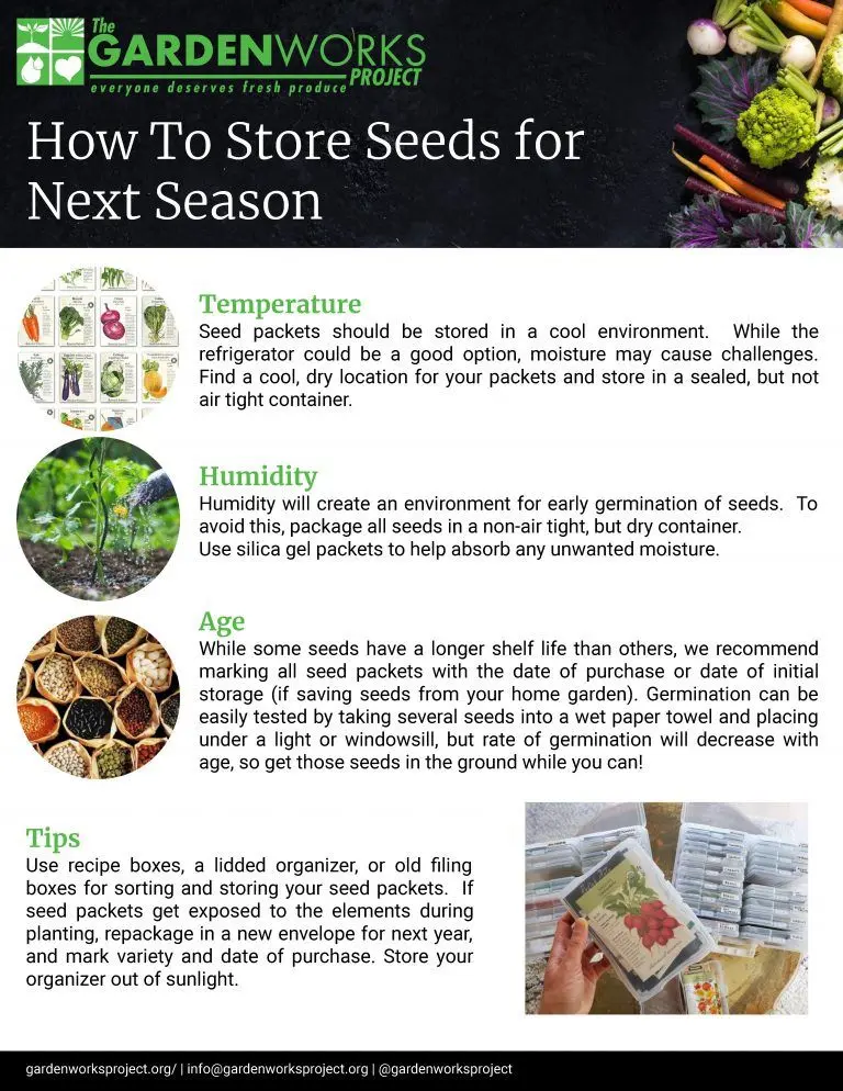 Storing Seeds for Next Season image
