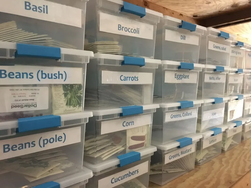 Seedling Sale