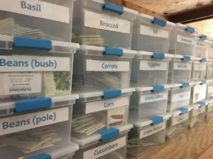Seedling Sale