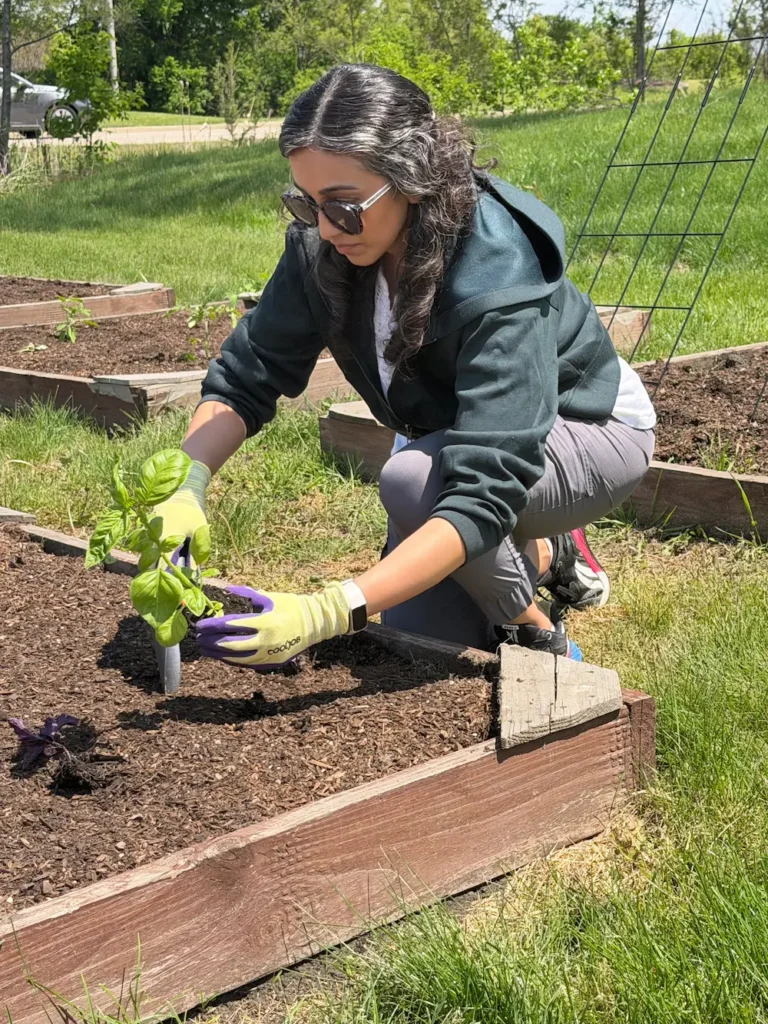Woman Volunteer Gardening